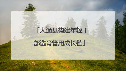 大通县构建年轻干部选育管用成长链