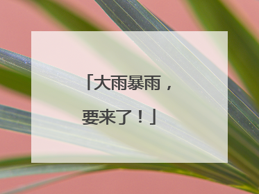 大雨暴雨，要来了！
