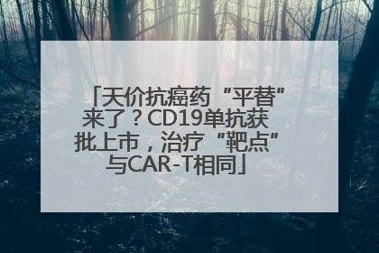 天价抗癌药“平替”来了？CD19单抗获批上市，治疗“靶点”与CAR-T相同