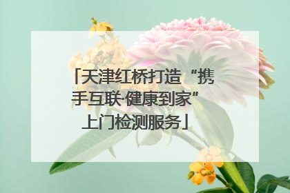 天津红桥打造“携手互联·健康到家”上门检测服务