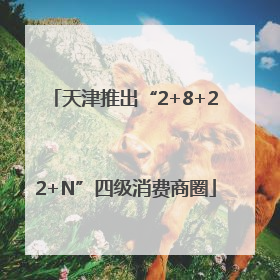 天津推出“2+8+22+N”四级消费商圈