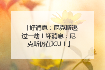 好消息：尼克斯逃过一劫！坏消息：尼克斯仍在ICU！