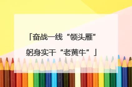 奋战一线“领头雁” 躬身实干“老黄牛”