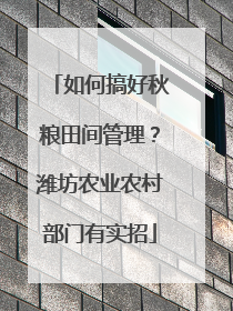 如何搞好秋粮田间管理？潍坊农业农村部门有实招