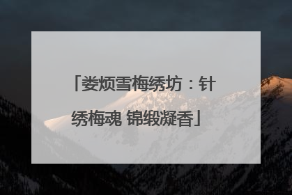 娄烦雪梅绣坊：针绣梅魂 锦缎凝香