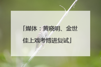 媒体：黄晓明、金世佳上戏考博进复试