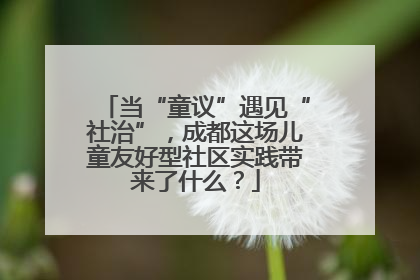 当“童议”遇见“社治”，成都这场儿童友好型社区实践带来了什么？