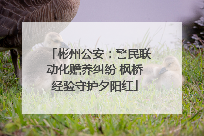 彬州公安：警民联动化赡养纠纷 枫桥经验守护夕阳红