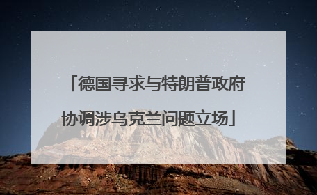 德国寻求与特朗普政府协调涉乌克兰问题立场