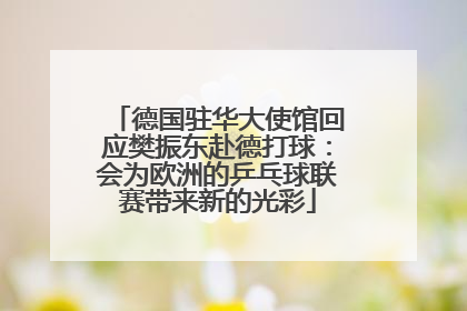德国驻华大使馆回应樊振东赴德打球：会为欧洲的乒乓球联赛带来新的光彩