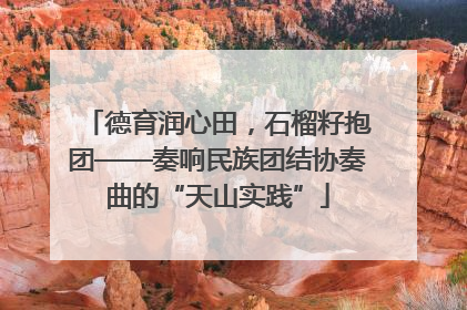 德育润心田，石榴籽抱团——奏响民族团结协奏曲的“天山实践”