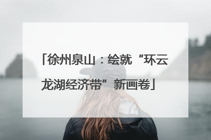 徐州泉山：绘就“环云龙湖经济带”新画卷