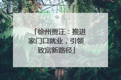徐州贾汪：推进家门口就业，引领致富新路径