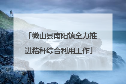 微山县南阳镇全力推进秸秆综合利用工作