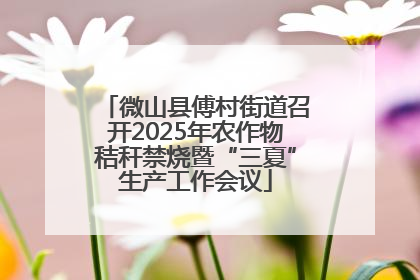 微山县傅村街道召开2025年农作物秸秆禁烧暨“三夏”生产工作会议