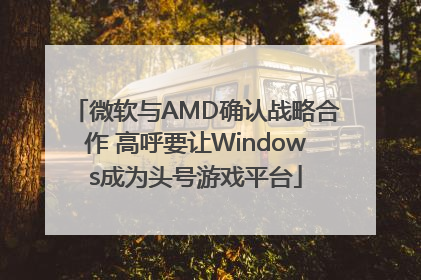 微软与AMD确认战略合作 高呼要让Windows成为头号游戏平台
