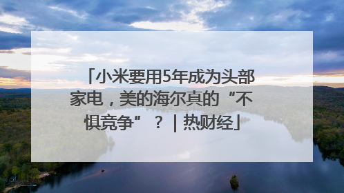 小米要用5年成为头部家电，美的海尔真的“不惧竞争”？｜热财经
