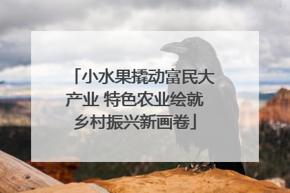 小水果撬动富民大产业 特色农业绘就乡村振兴新画卷