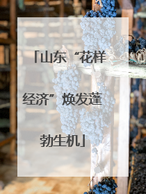 山东“花样经济”焕发蓬勃生机