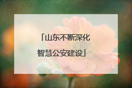 山东不断深化智慧公安建设