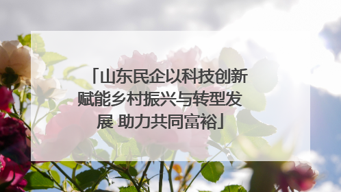 山东民企以科技创新赋能乡村振兴与转型发展 助力共同富裕