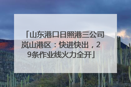 山东港口日照港三公司岚山港区：快进快出，29条作业线火力全开