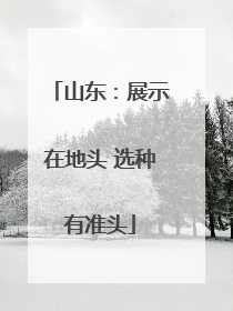 山东：展示在地头 选种有准头