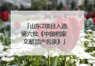 山东2项目入选第六批《中国档案文献遗产名录》