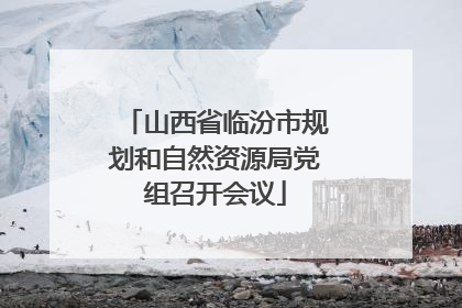 山西省临汾市规划和自然资源局党组召开会议
