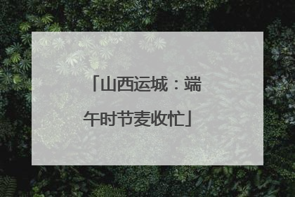 山西运城：端午时节麦收忙