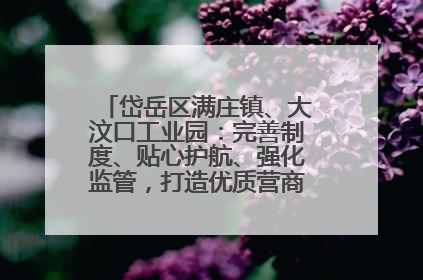 岱岳区满庄镇、大汶口工业园：完善制度、贴心护航、强化监管，打造优质营商“强磁场”