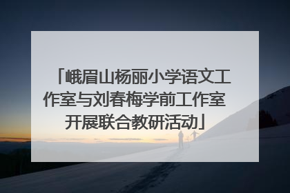 峨眉山杨丽小学语文工作室与刘春梅学前工作室开展联合教研活动