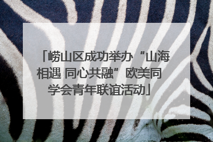 崂山区成功举办“山海相遇 同心共融”欧美同学会青年联谊活动
