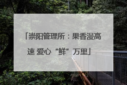 崇阳管理所：果香漫高速 爱心“鲜”万里
