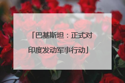 巴基斯坦：正式对印度发动军事行动