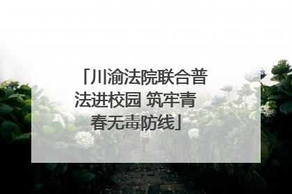 川渝法院联合普法进校园 筑牢青春无毒防线