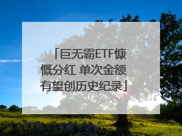 巨无霸ETF慷慨分红 单次金额有望创历史纪录