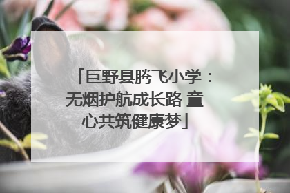 巨野县腾飞小学：无烟护航成长路 童心共筑健康梦