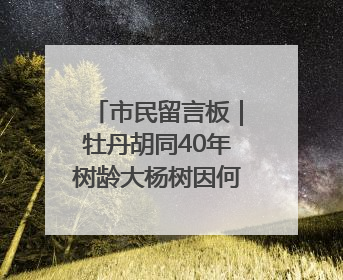 市民留言板｜牡丹胡同40年树龄大杨树因何被扒皮？