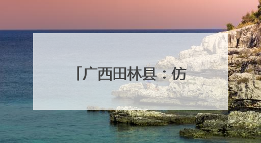 广西田林县：仿野生灵芝丰收季 山林间劳作忙