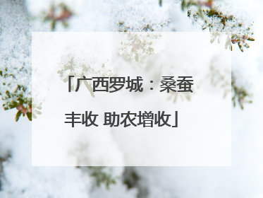 广西罗城：桑蚕丰收 助农增收