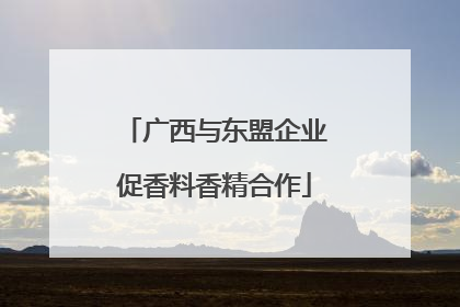 广西与东盟企业促香料香精合作