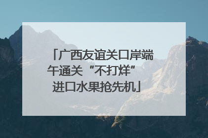广西友谊关口岸端午通关“不打烊” 进口水果抢先机