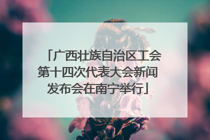 广西壮族自治区工会第十四次代表大会新闻发布会在南宁举行