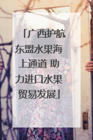 广西护航东盟水果海上通道 助力进口水果贸易发展