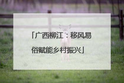 广西柳江：移风易俗赋能乡村振兴