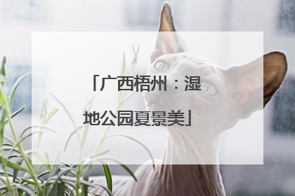 广西梧州：湿地公园夏景美