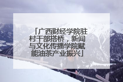 广西财经学院驻村干部搭桥，新闻与文化传播学院赋能油茶产业振兴