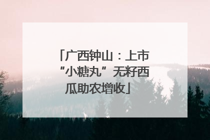广西钟山：上市“小糖丸”无籽西瓜助农增收