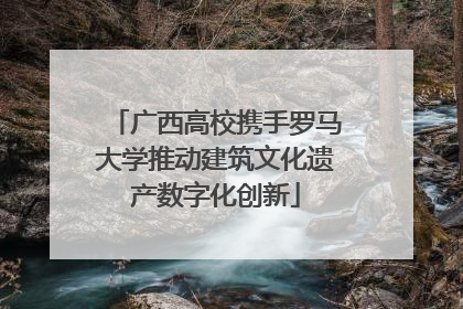 广西高校携手罗马大学推动建筑文化遗产数字化创新